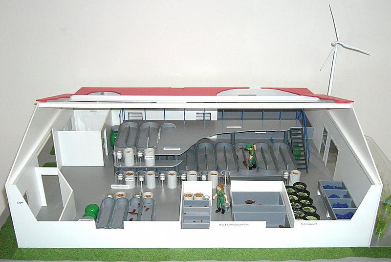 Modellentwurf einer Pilotaquakulturanlage für Seezungen