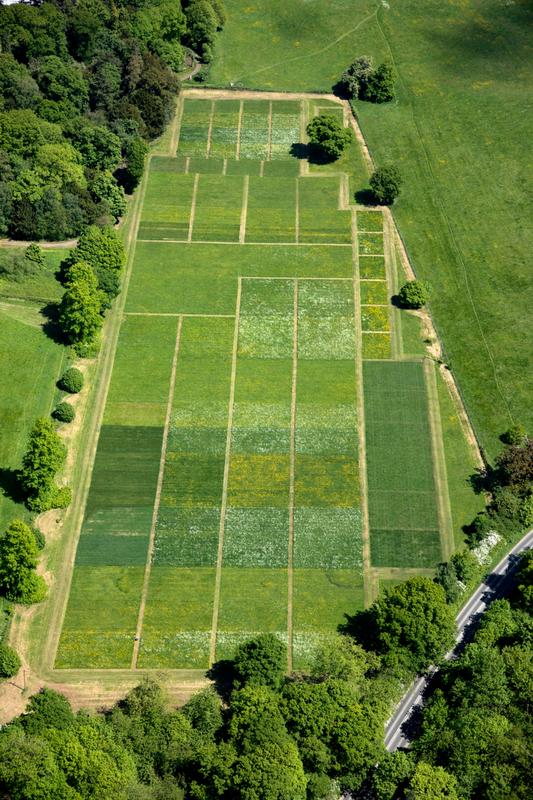 The Rothamsted Research experimental field in England.