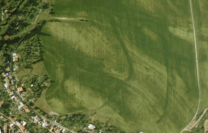 Luftbildaufnahme der Pfalz Derenburg. Aufgrund von Bewuchsanomalien sind die halbkreisförmigen Wälle (dunkelgrüne Ränder) der einstigen Anlage und deren Anordnung gut zu erkennen. 