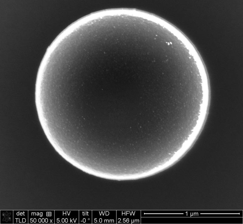 Electron microscope image of a microswimmer. The particle is 2.18 micrometres in diameter. The small, brighter dots on the particle are gold nanoparticles about 8 nanometres in size.