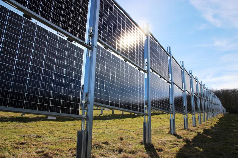 Vertikal aufgeständerte Module sind eine mögliche Bauart der Agri-Photovoltaik (Agri-PV), zu der das TFZ gerade einen Statusbericht veröffentlicht hat.