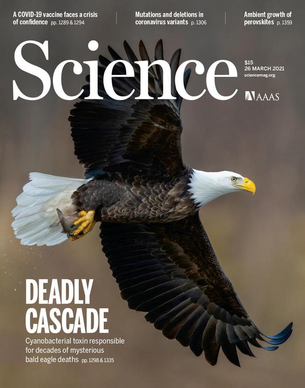 Cover of "Science"