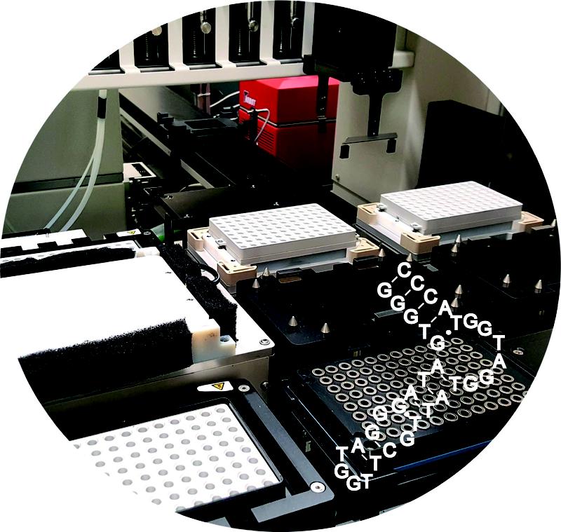 In the foreground, the secondary structure of the aptamer. In the background is the automated SELEX platform at the LIMES Institute of the University of Bonn. 