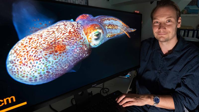 Martin Hager greift bei der Polymerforschung Phänomene wie die Biolumineszenz bei Tintenfischen auf.