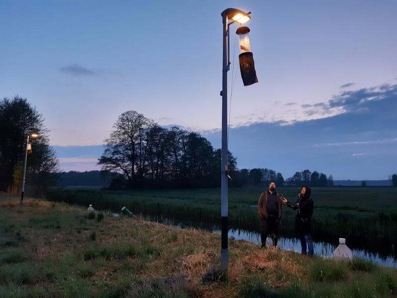 In einigen Kommunen Deutschlands hängen merkwürdige sackähnliche Gebilde an Straßenleuchten. Es sind Insektenfallen, mit denen Forschende dem nächtlichen Insektensterben auf der Spur sind.