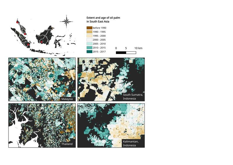 The extent and year of detection of oil palm plantations zoomed into four locations: Krabi, Thailand, Johor in Malaysia, Central Kalimantan and Riau in South Sumatra, Indonesia.