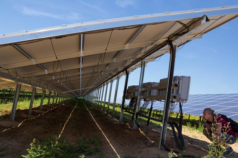 Solarpark einer Bürgergenossenschaft in Uttenreuth