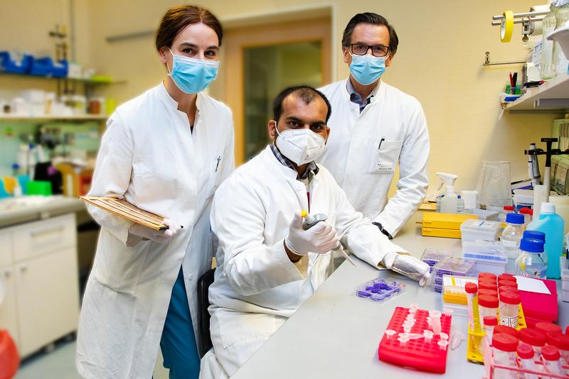 Dr. Anna Saborowski, Gajanan Kendre und Professor Dr. Arndt Vogel in einem Labor der MHH-Klinik für Gastroenterologie mit violett angefärbten Gallengang-Tumorzellen. 