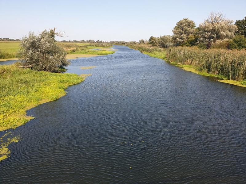 Auf den ersten Eindruck in einem naturnahen Zustand, aber seit Jahrhunderten stark durch Menschen beeinflusst: Die Aue der Unteren Havel in Brandenburg