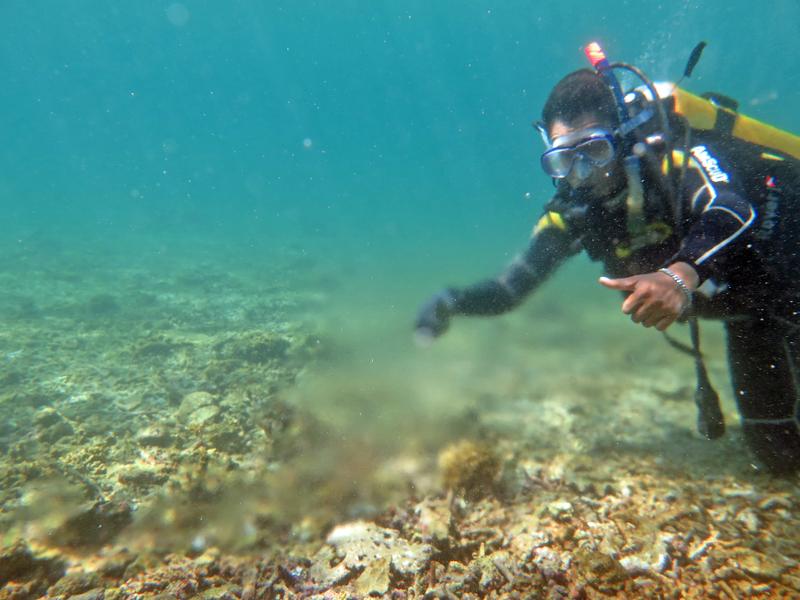 Grundwasserquelle in einem Riff vor Lombok