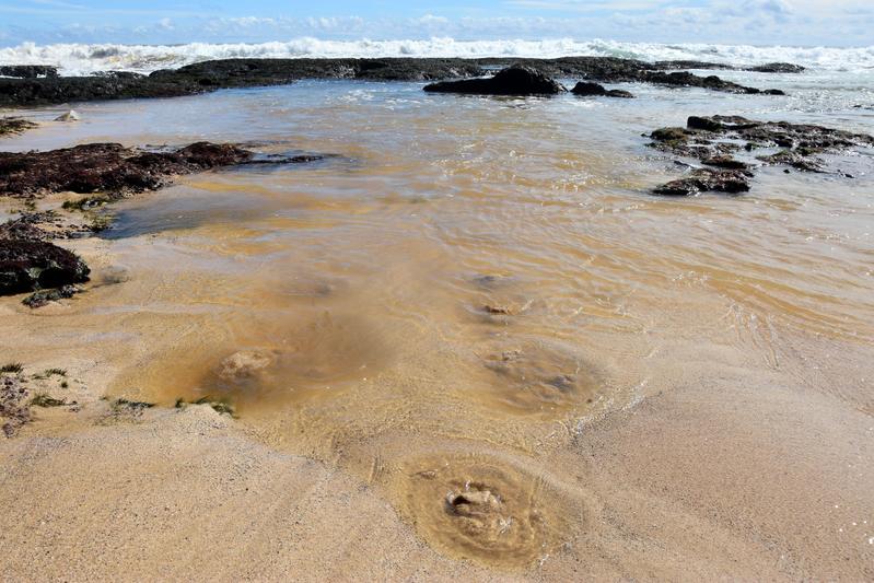 Groundwater bubbling up on the coast in Gunung Kidul, Java