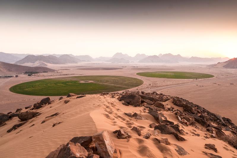 Bewässerungssysteme in Jordanien 