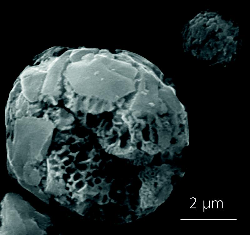 Nanoporous Si particle