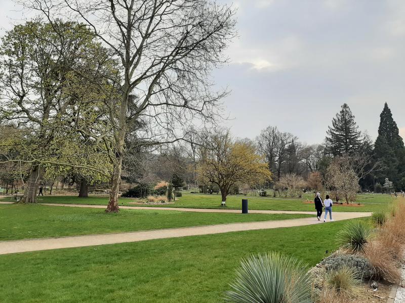 Der Botanische Garten der Universität Bonn – eine der beliebten Grünflächen. 