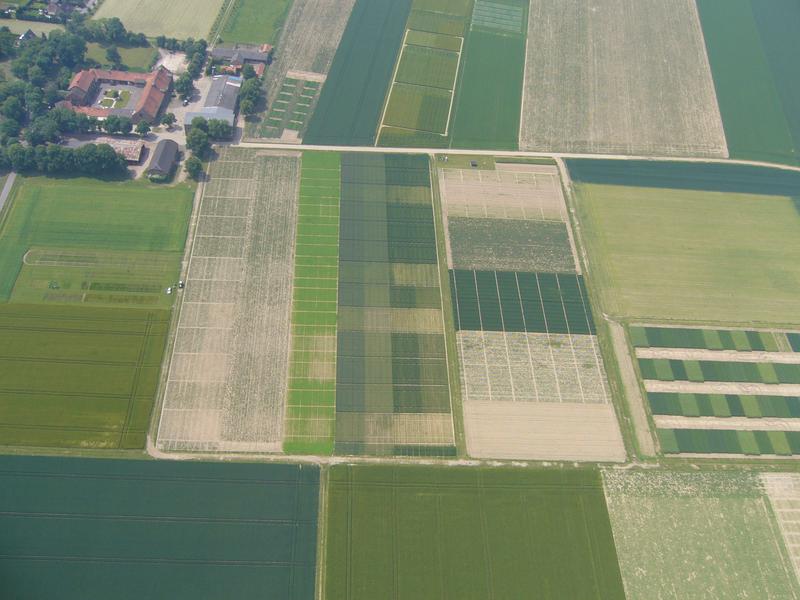 In Zeiten des Klimawandels wird die Zuverlässigkeit bei der Bestimmung von Ernte- oder Futtererträgen für Landwirtschaftsbetriebe immer wichtiger. Für die Berechnungen sind Daten aus Dauerfeldversuchen, wie dem Versuch Dikopshof, Universität Bonn, nötig.