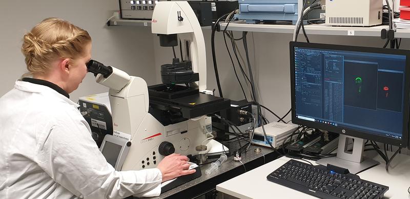 Dr. Andrea Bleckmann am Spinning Disk-Laser Scanning-Fluoreszenzmikroskop, mit dessen Hilfe das Kortikalnetzwerk an der UR entdeckt wurde.  