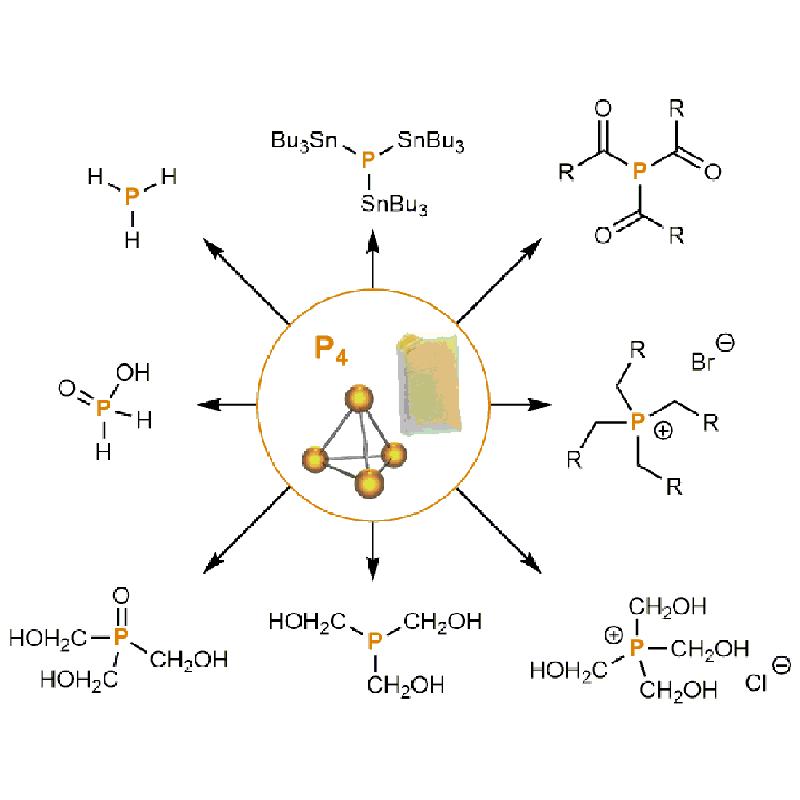 Ausgewählte Phosphorverbindungen, die sich mit der neuen Methode direkt aus P4 herstellen lassen.