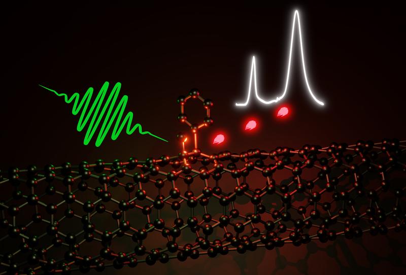 Die optischen Eigenschaften von Kohlenstoffnanoröhrchen, die aus einem aufgerollten hexagonalen Gitter von sp2-Kohlenstoffatomen bestehen, lassen sich mithilfe von Defekten verbessern. 