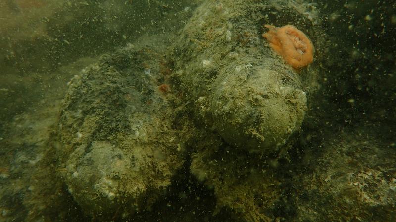 120 Millimeter-Granaten auf einem Wrack vor der belgischen Küste. Die Granaten gehören zu einem QF-Mk IX Schiffsgeschütz.  