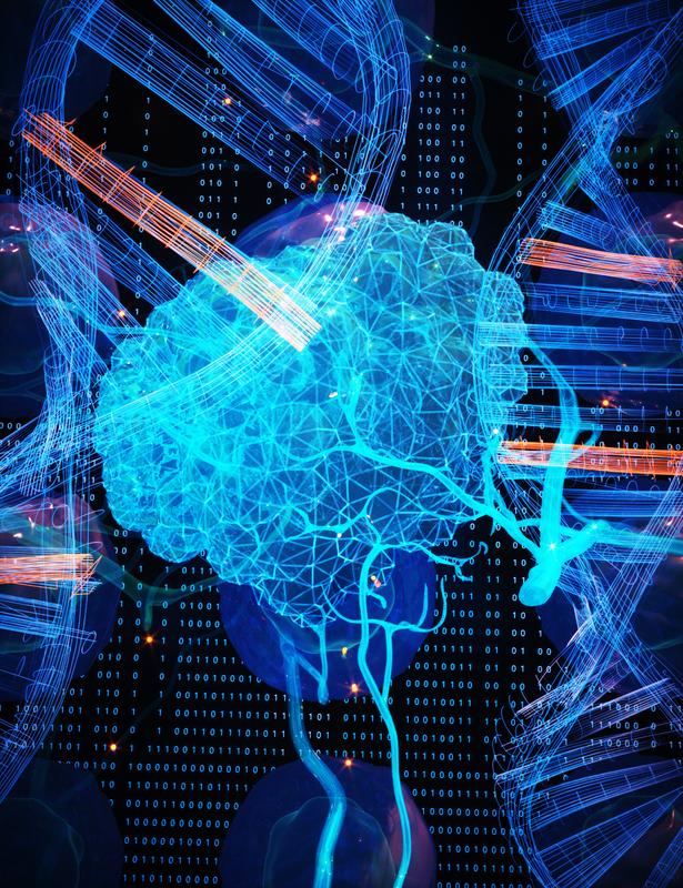 Den Tumor mit intelligenter Datenanalyse „durchleuchten“ – ein neuer Algorithmus macht’s möglich.