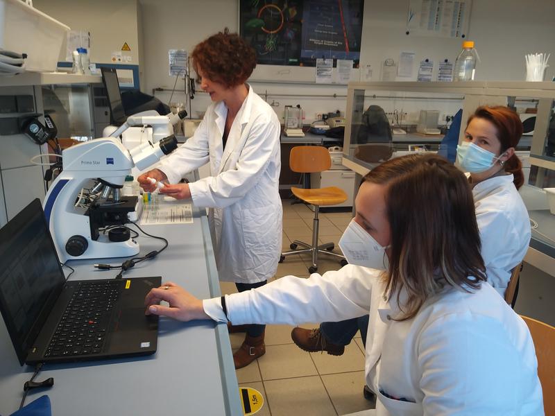 Zwischen Laptops und Labormaterialien: Antje Vondran (stehend), Marina Stang (vorn) und  Anja Scheler gestalteten das Online-Praktikum. Foto: Hochschule Coburg.