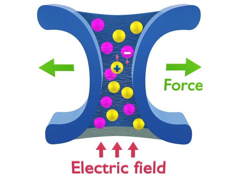 Das Anlegen eines elektrischen Feldes an einem Ionenkanal führt zu entgegengesetzten Strömen von (positiv geladenen) Kationen und (negativ geladenen) Anionen. 