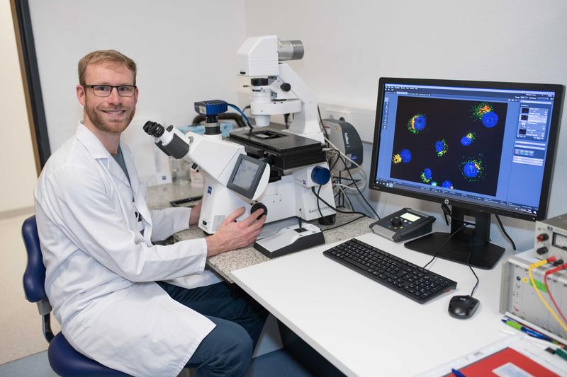 Frank Arnold will das Verhalten von Tumorzellen bei Bauchspeicheldrüsenkrebs im Detail nachvollziehen. Die mikroskopische Abb. zeigt  den defekten Golgi-Apparat (Grün: cis-Golgi, Rot: trans-Golgi) in RINT1-herunterregulierten Zellen (Blau: Zellkern)