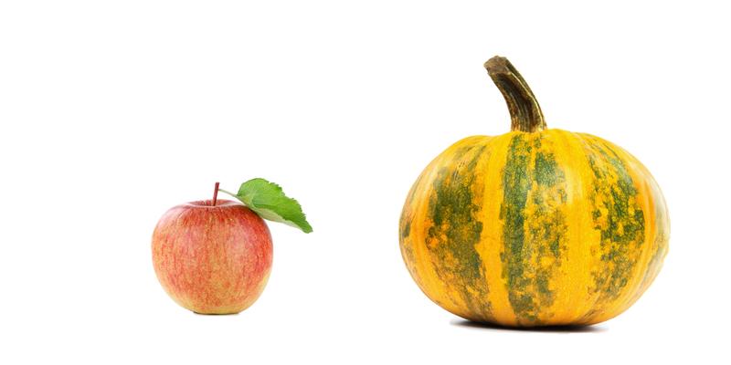 Zwei unabhängige Studien an Äpfeln und Kürbissen unterstreichen die Bedeutung des Mikrobioms für Gesundheitsfragen von der Kulturpflanze bis zum Menschen. 