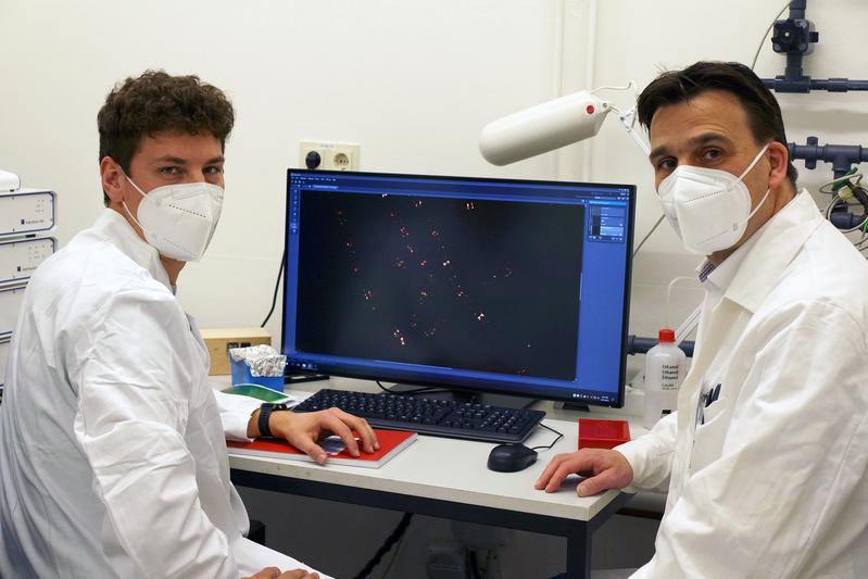 Prof. Marc Bramkamp (rechts) und Dr. Helge Feddersen konnten mittels moderner Bildgebungsverfahren neue Erkenntnisse darüber gewinnen, wie Bacillus subtilis die Funktionsweise seines Zellteilungssystems anpassen konnte.