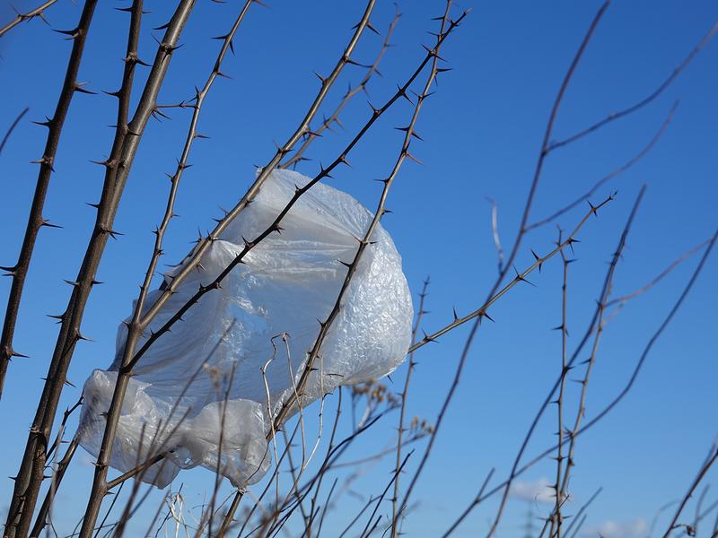 Der Diskurs zu Plastik in der Umwelt soll mithilfe des Kompendiums auf eine gemeinsame fachliche Basis gestellt werden.