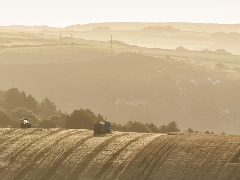 Agriculture and forestry produce waste such as wood, bark and straw. 