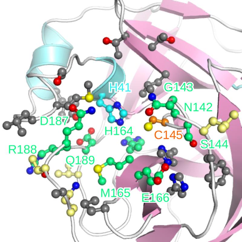 Beispiel für Forschungsprojekt: Das Team um Prof. Dr. Birgit Strodel (Computational Biochemistry) rechnete die sogenannte „Binding Site“ am zentralen Protein des SARC-CoV2-Virus. An dieser Stelle können neue Therapeutika gegen das Virus angreifen.