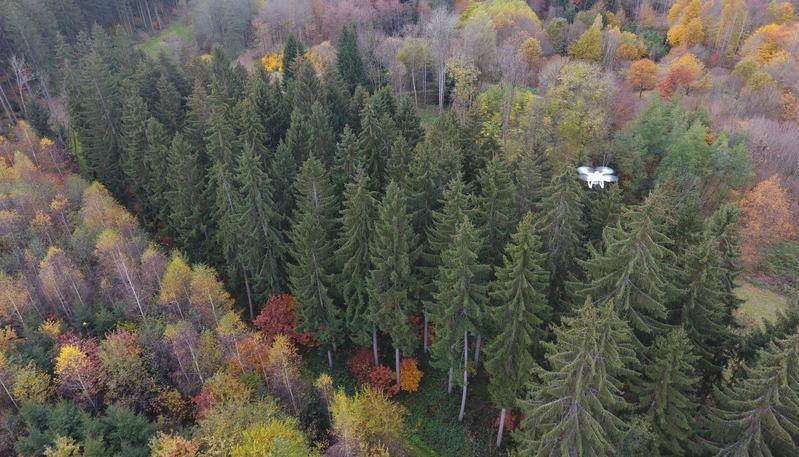 Überfliegen eines Waldbestandes mit einer Drohne