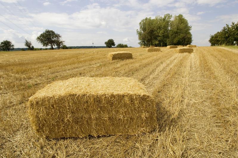 Stroh und weitere Reststoffe aus der Landwirtschaft könnten künftig direkt auf dem Bauernhof in Materialien und Energieträger umgewandelt werden. 