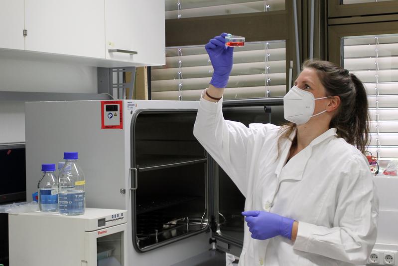 Project member Anja Ramsperger M.Sc. during a cell culture experiment on the potential effects of plastic particles on humans. 