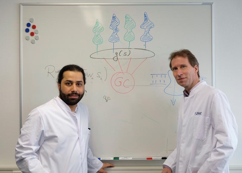 Dr. Mohammad Khani (links) und Prof. Dr. Tim Gollisch (rechts), Klinik für Augenheilkunde der Universitätsmedizin Göttingen (UMG). 