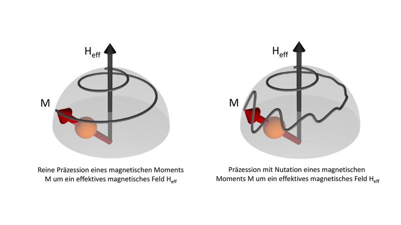 Darstellung der Präzession eines magnetischen Moments ohne (links) und mit Nutation.