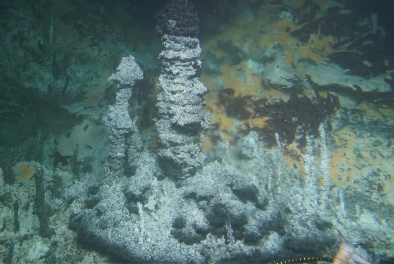 Die hydrothermalen Schlote des Guaymas-Beckens – die „Heimat“ der untersuchten methanoxidierenden Mikroben. Die wärmeliebenden Mikroorganismen gedeihen unter den orangefarbenen mikrobiellen Matten im Hintergrund.