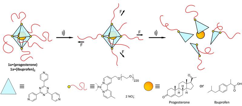 Oktaeder-förmiger Käfig, den Palladiumatome mit langen Polymerketten an den Ecken zusammenhalten. Im Käfig Wirkstoffmoleküle (orange). Mitte und rechts: Ultraschallwellen bewirken Scherkräfte, wodurch der Käfig zerbricht und den Wirkstoff entlässt.