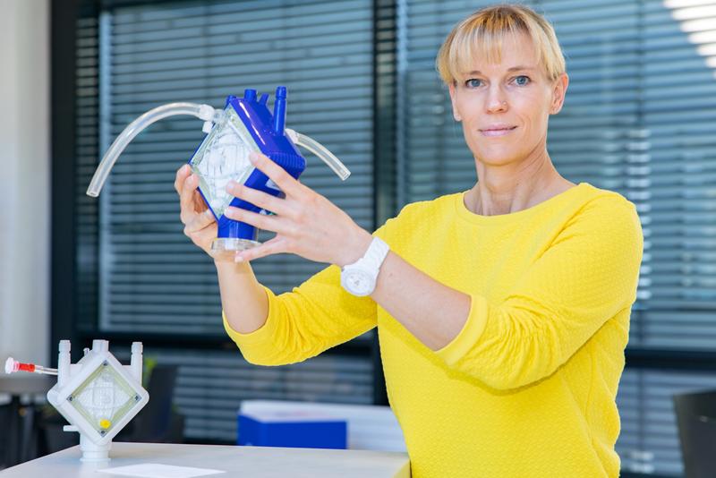 Dr. Bettina Wiegmann with an ECMO device and a special carrier foil on whose surface the tissue cells can settle.