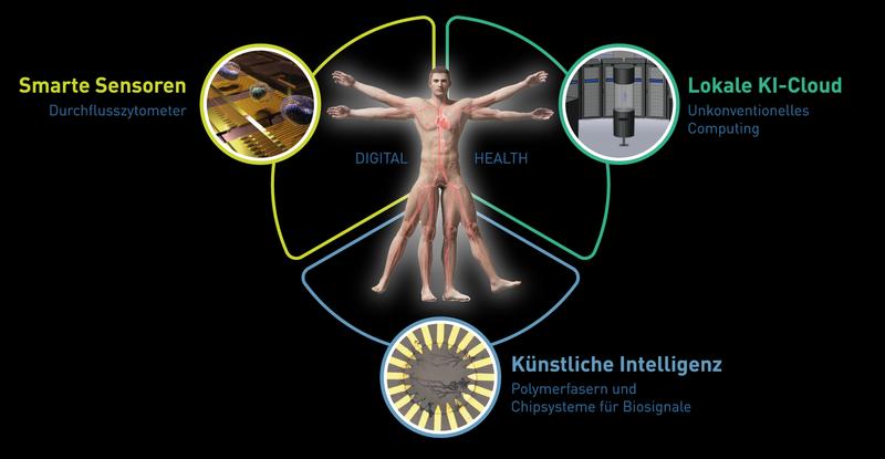 Biokompatible und flexible Bauteile erlauben Sensorik und intelligente Signalverarbeitung in medizinischen Anwendungen