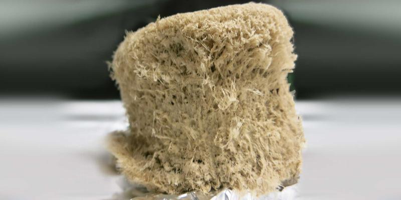Die Herstellung biobasierter Materialien (hier im Bild: Schaum aus mikrofibrillärer Cellulose) steht im Zentrum des Forschungsinteresses am Institut für Biobasierte Produkte und Papiertechnik.