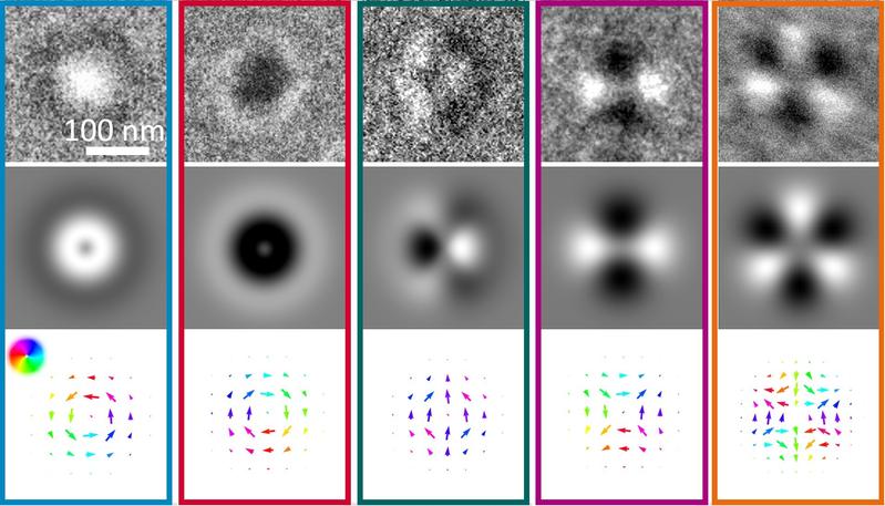 Abbildung 2: Die verschiedenen beobachteten koexistenten magnetischen Quasipartikel (v.l.n.r.): Bloch-Skyrmionen gegen und mit dem Uhrzeigersinn ausgerichtet, topologisch triviale Blase und Antiskyrmion erster und zweiter Ordnung. 