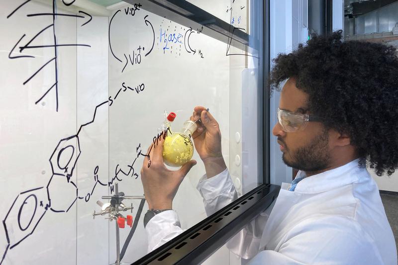 Dawit T. Filmon, Mitarbeiter von Prof. Nicolas Plumere, Professur für Elektrobiotechnologie am TUM Campus Straubing für Biotechnologie und Nachhaltigkeit, hält einen Ausgangsstoff für die Seitenketten des schützenden Polymers in seinen Händen.