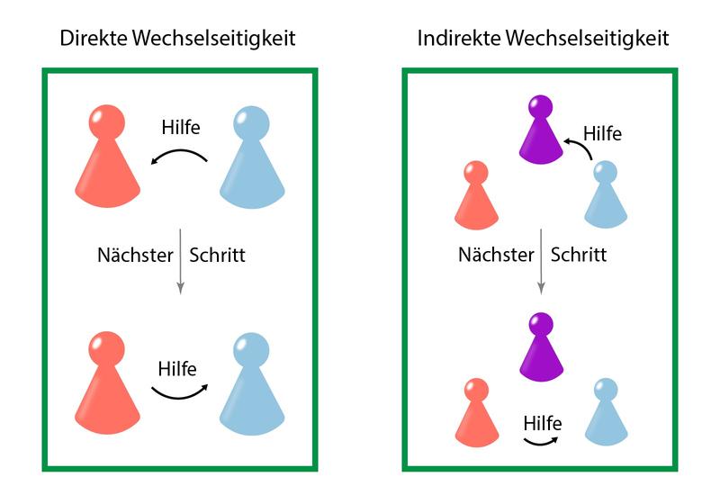 Darstellung der direkten und indirekten Wechselseitigkeit. 