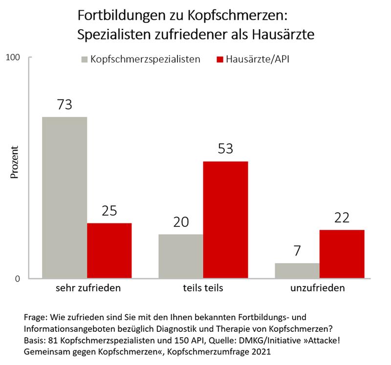 Genutzte Fortbildungen und Informationsangebote: Publikationen rangieren oben