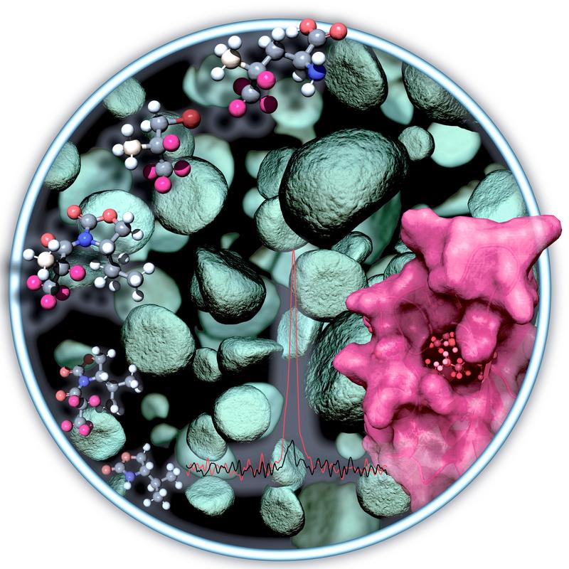 Illustration der Syntheseprodukte, welche z.B. mittels eukaryotischer Zellkultur in Proteine eingebaut werden können. Die erhaltenen Methylsensoren sorgen dort für einen starken NMR-Signalanstieg.