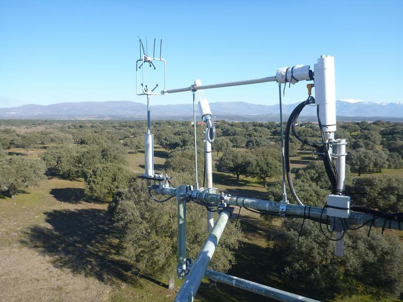 Datenerfassung auf einem Messturm in der spanischen Savanne Majadas de Tietar  