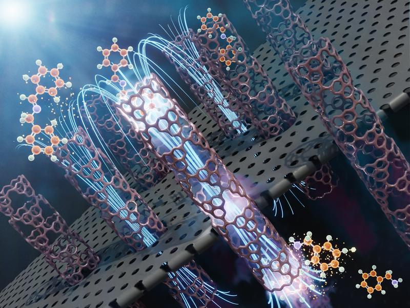 In this image we see several parallel nanometer-sized tubes as a part of the membrane in which the photocatalytic reaction takes place. The membrane is a macroscopic object composed of an ensemble of such nanotubes. 