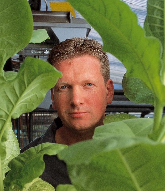 Dr. Stefan Schillberg mit transgenen Tabakpflanzen. Für seine Arbeiten, um Pharmazeutika einfacher und sauberer aus Pflanzenzellen zu gewinnen, erhält er den Fraunhofer-Sonderpreis.